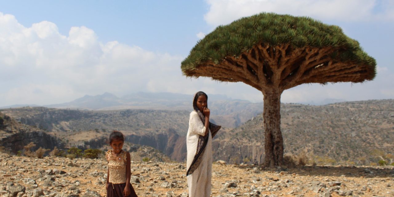 Should you travel to Yemen right now?